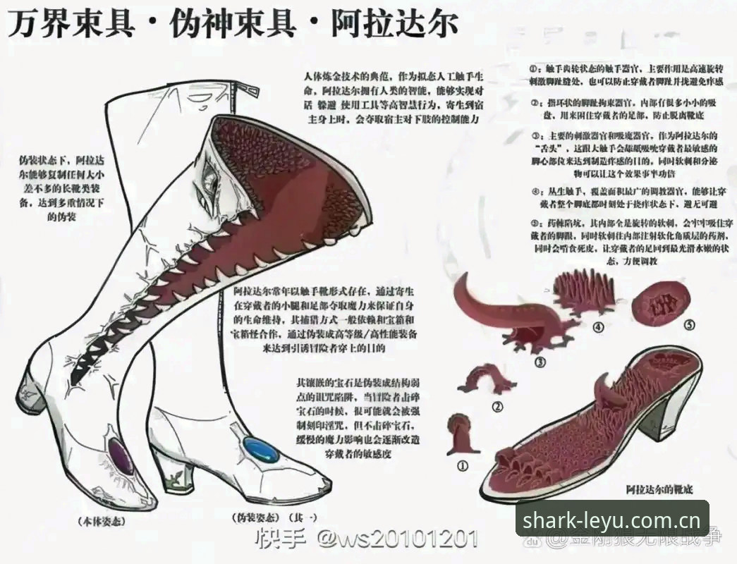 皇家社会后防引援解析：迪奥戈·莱特能否完美替代卡尔塔-卡尔