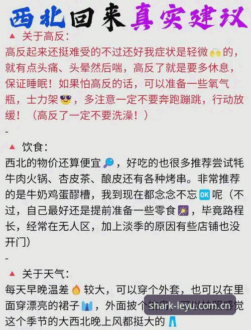 揭秘乐鱼APP网页版安全性背后的真相：用户实测数据与下载避坑指南
